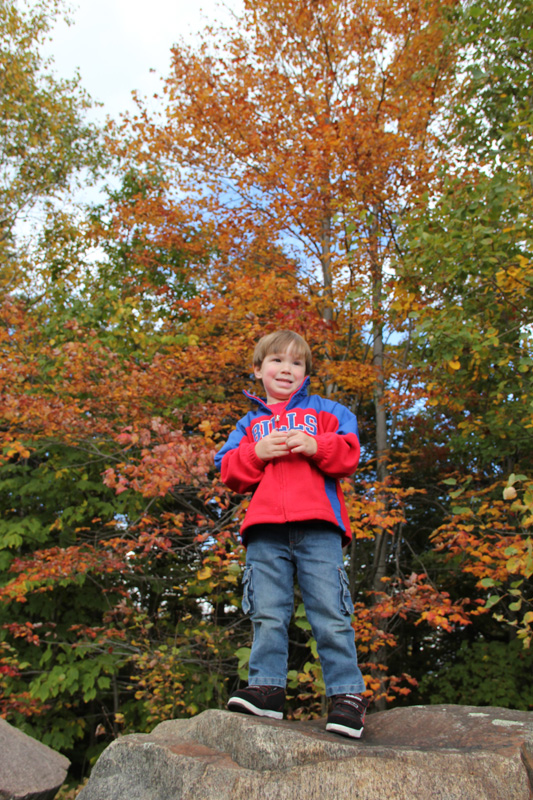 slideshow